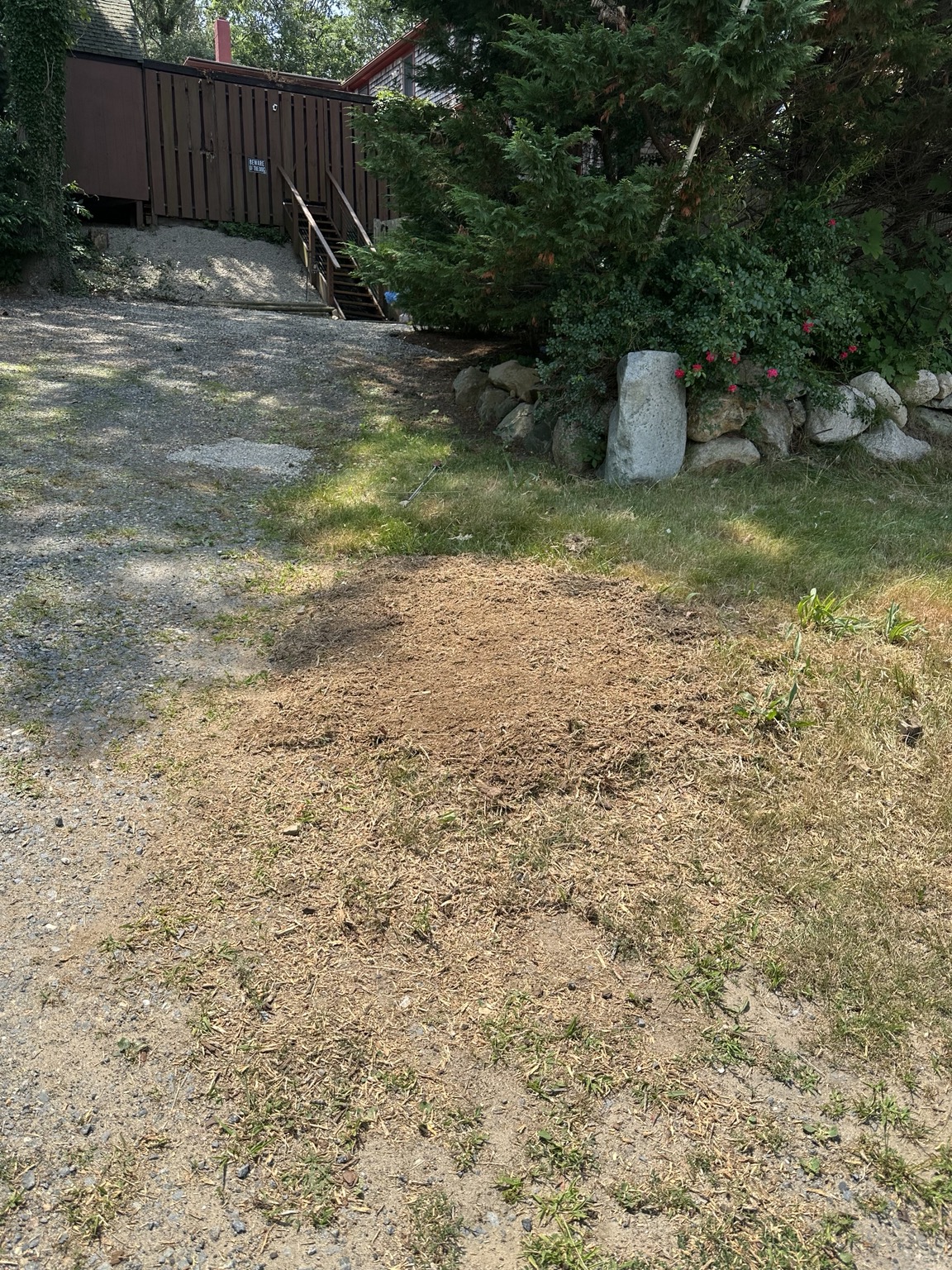Finished area after stump grinding