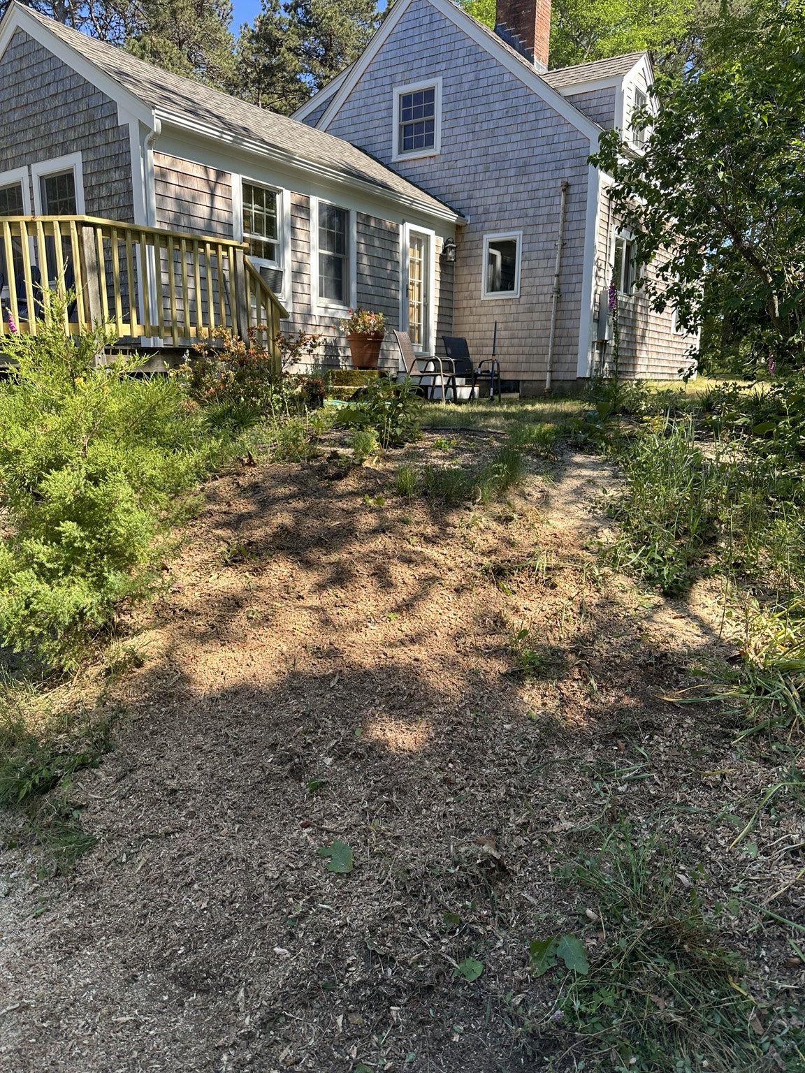 Finished landscaped area after stump grinding