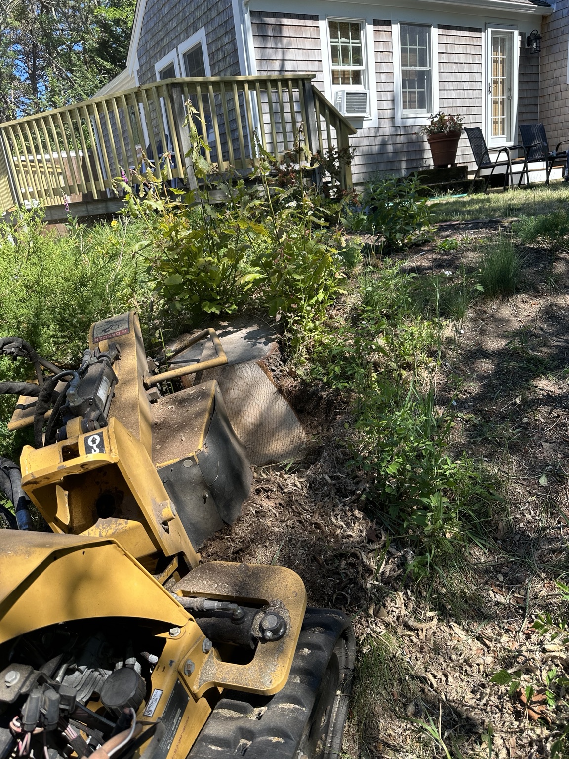 Stump grinding in progress before completion