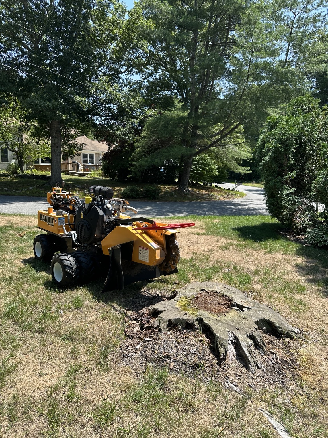 Residential stump grinding on Cape Cod with Cape Stump Grinding equipment