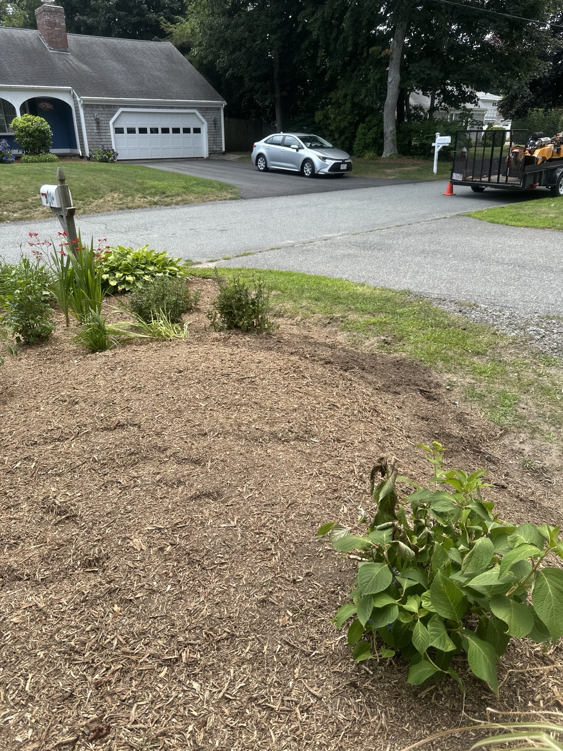 Finished front yard after professional stump grinding on Cape Cod