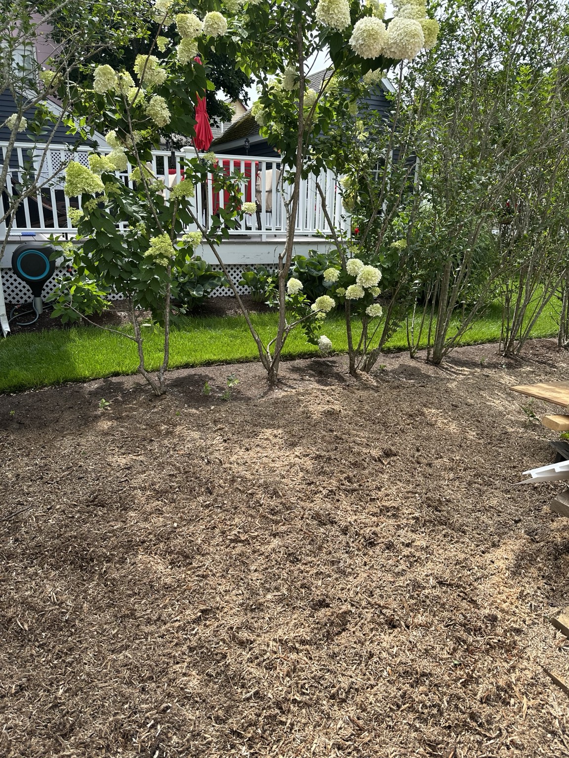 Finished landscaped area after stump grinding