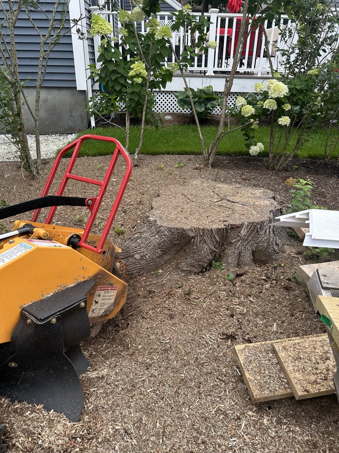 Stump before grinding in a landscaped residential area