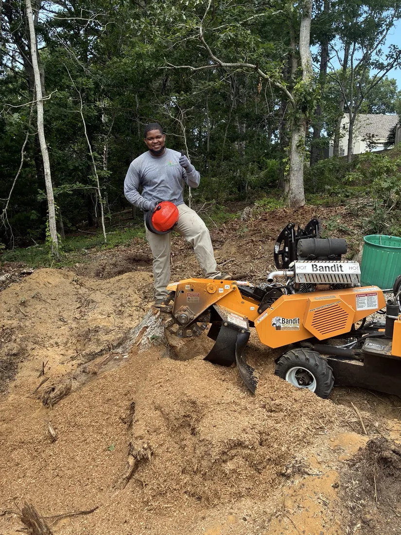 Cape Stump Grinding owner on a local stump grinding job