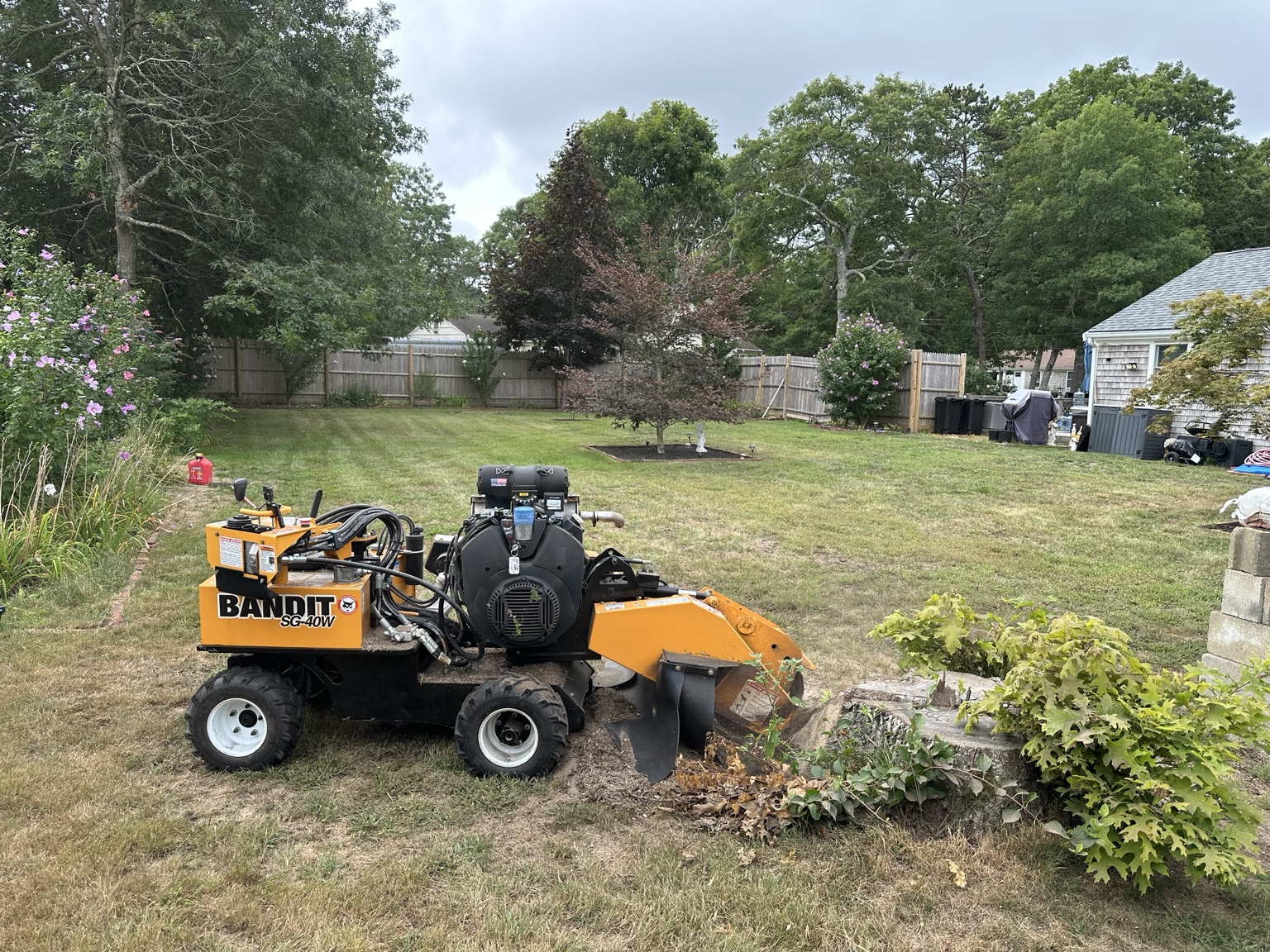 Bandit SG-40W grinding a residential stump on Cape Cod